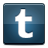 Tumblr icon